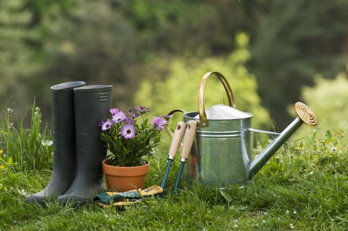 Professional tree lopping tools and equipment