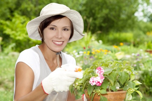 Healthy green lawn maintained by experts