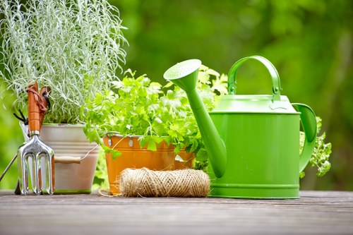 Professional garden maintenance services