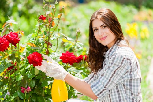 Customized lawn care plan for a beautiful garden