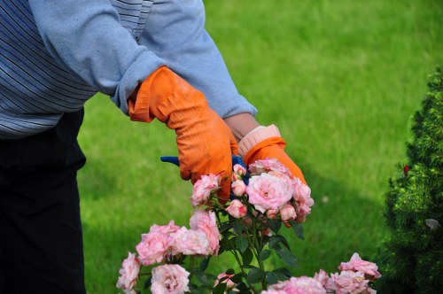 Tools and equipment used for hedge trimming in Elephant and Castle