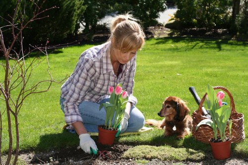 Modern garden design with hardscaping features